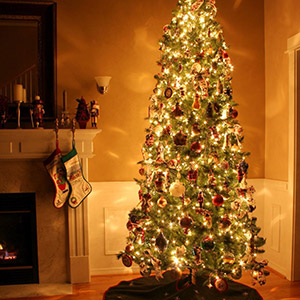 Brighten Your Holiday
